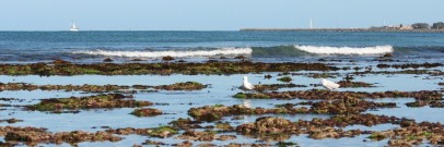 Waterman's Beach north of Perth