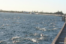 Ironman Busselton competitors during the 3.8km swim around the jetty