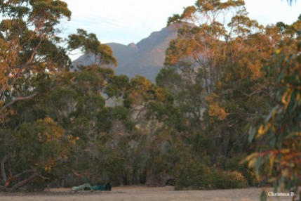 Bush camping at Mount Trio on our previous (dry) visit with the swags in the foreground