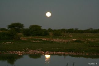 Die volmaan sak oor die watergat by Okaukuejo, Etosha, Namibië