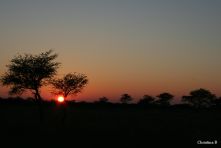 Sonsopkoms in die Kalahari