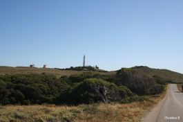 One of the seemingly innocuous little hills (towards Wadjemup lighthouse which was an important military spot in WW2)