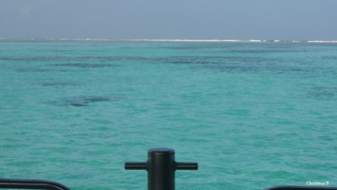 View towards the reef off the glass bottom boat.