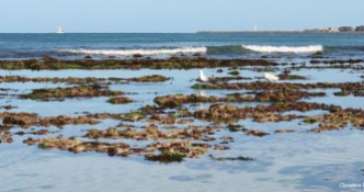 Low tide at Waterman's Bay north of Perth