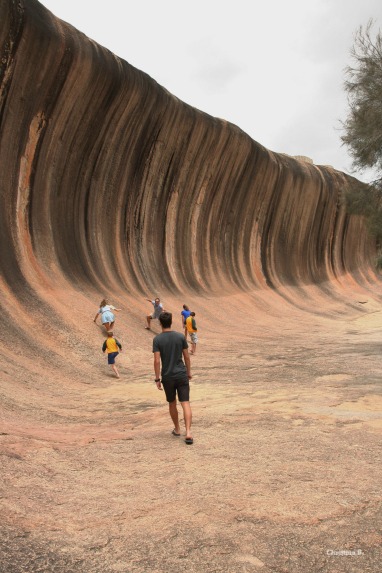 Wave Rock, 14 metre high and about 110 metre long granite rock southeast of Perth, Western Australia
