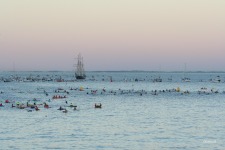 Paddlers and support boats waiting for their swimmers with Rottnest Island in the background