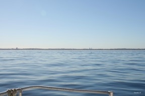 View towards the mainland from the ferry. Perth city is visible towards the right