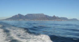 Table Mountain, Cape Town South Africa, a personal favourite