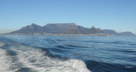 Table Mountain, Cape Town South Africa, a personal favourite