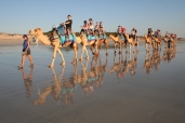 Camel rides on Cable Beach in Broome, WA